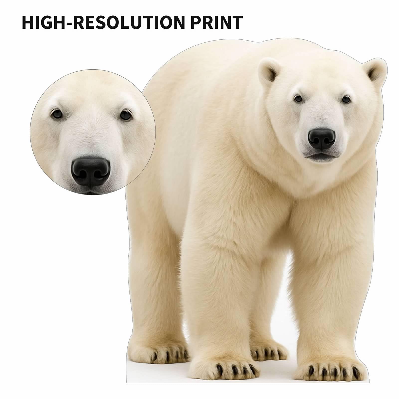 Découpe Carton Grandeur Ours Polaire (Polar Bear) - Standee Life-size - Neuf UK