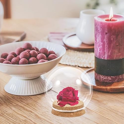 Miniatura 6 de 5 piezas de cúpula de cristal con cubierta de cristal de flores de corcho, cubierta de adorno de flores, vitrinas decorativas para almacenamiento