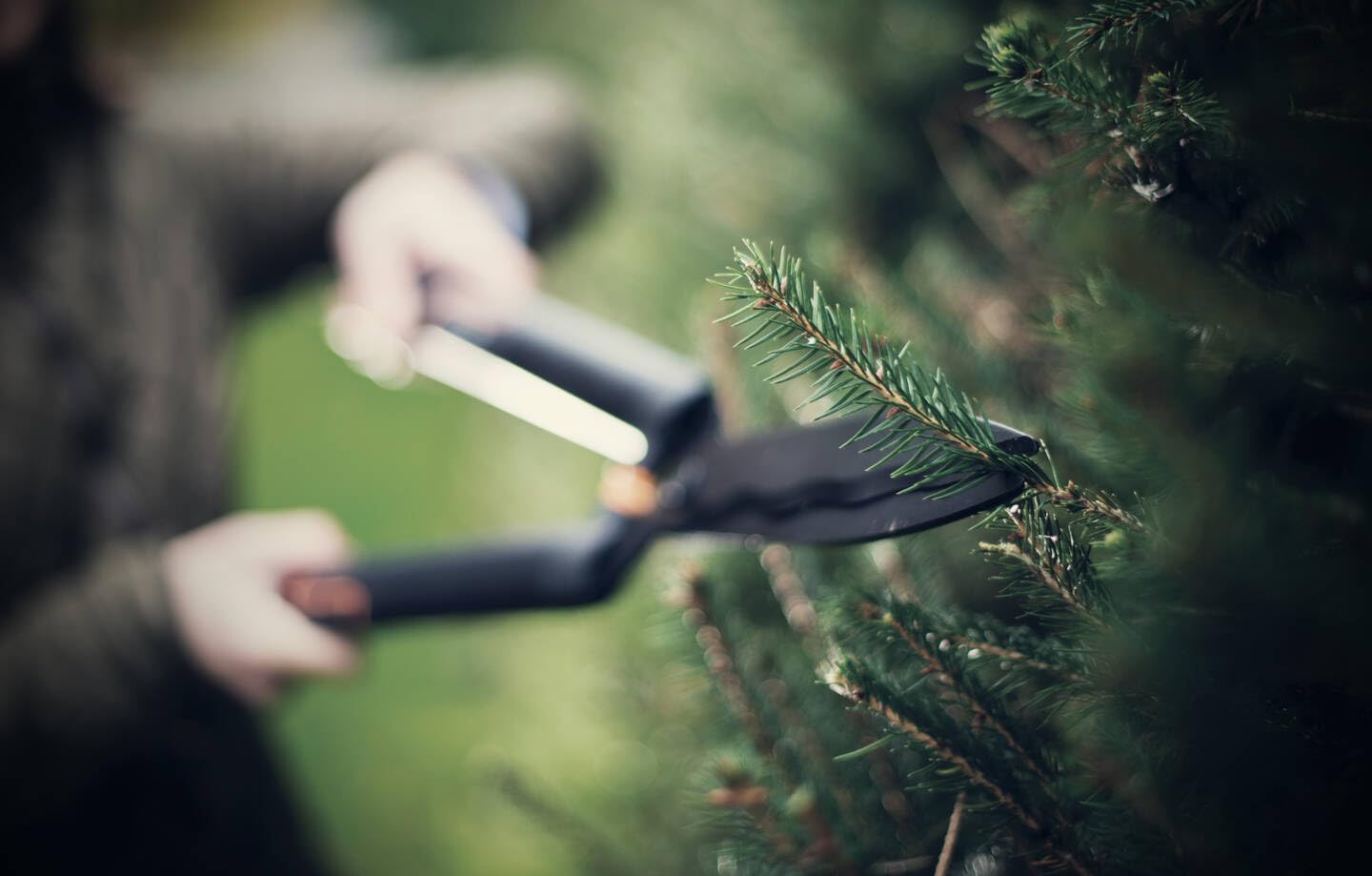 Fiskars Cisaille à haie SingleStep, Lame ondulée, Lames en Acier, Longueur: 58 cm, Noir mat, HS22, 1001433