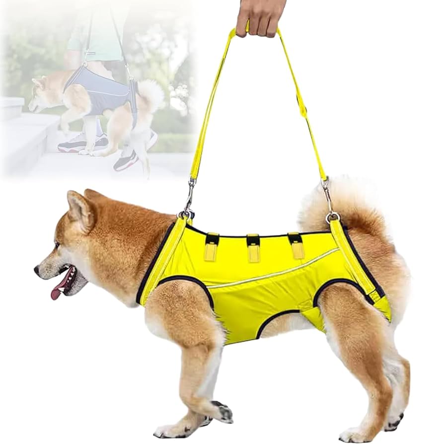 Amazon | 犬用介護ハーネス 犬 介護用ハーネス 歩行補助 老犬