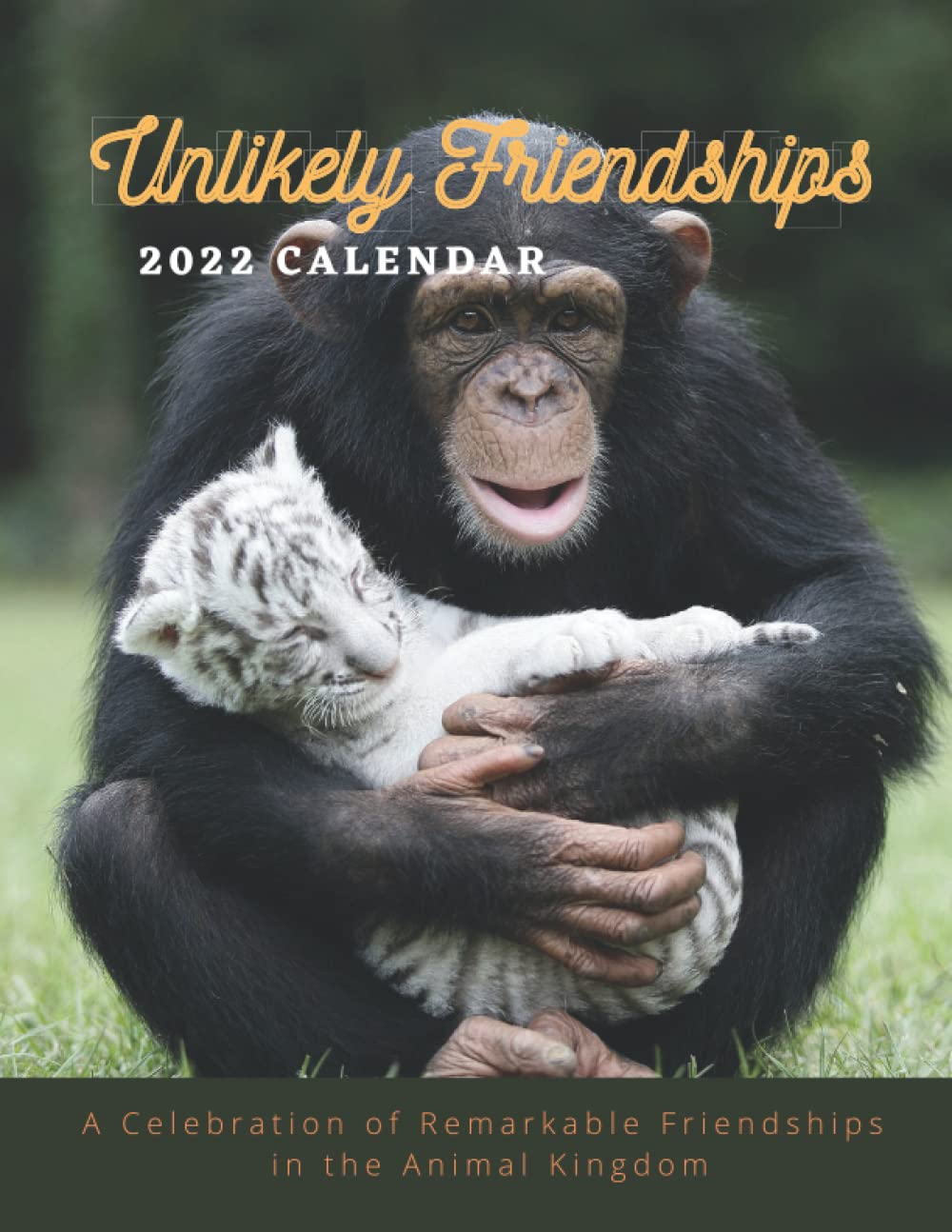 Buy Unlikely Friendships 2022 12Month Photography About unusual