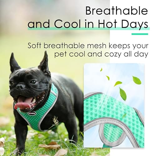 Thinkpet Reflective Breathable Soft Air Mesh No Pull Puppy Choke Free Over Head Vest Harness For Puppy Small Medium Dogs And Cats Teal Medium #TOP3