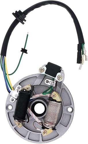 Windance Placa de estator Magneto de 2 bobinas de encendido para 50cc 70cc 90cc 110cc 125cc Chinese Dirt Bike Taotao Kazuma SSR Baja ATV Quad 4