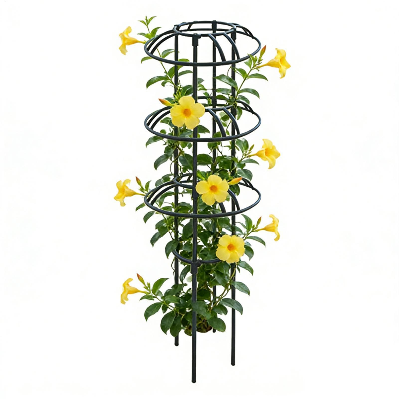 Treillis de jardin pour jardinière et serre tuteur stable pour de magnifiques clématites