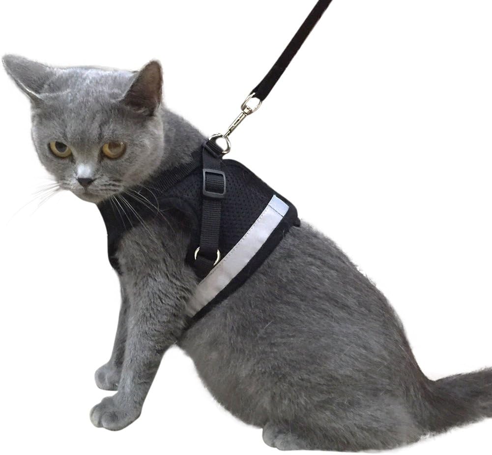 KZHAREEN Cat Harness with Leash for Kitty Puppy Small Dogs Animal Adjustable Soft Mesh