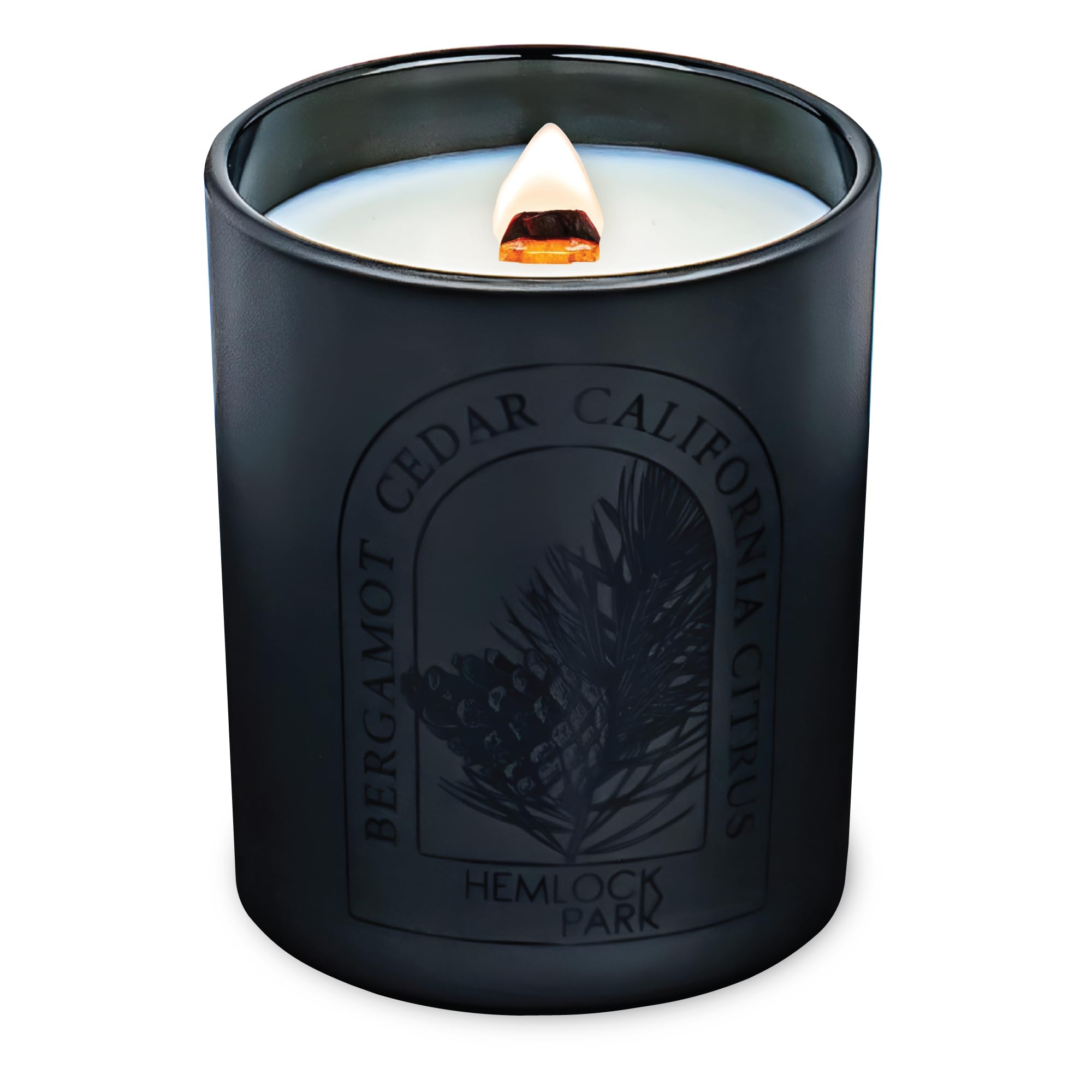 Hemlock Park Candela profumata al cedro di bergamotto artigianale nera versata a mano, stoppino di legno scoppiettante, fragranza botanica e cera di cocco, fino a 50 ore di combustione, 204 g