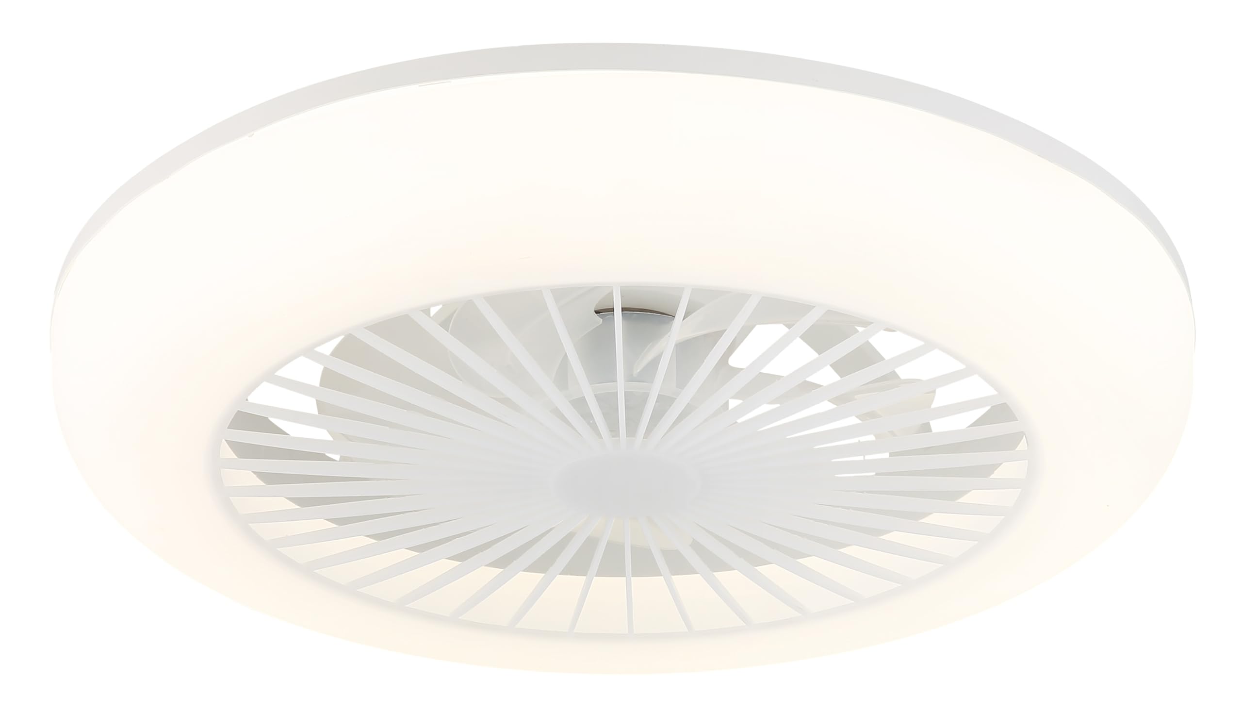 Deckenventilator Kunststoff weiß matt, Kunststoff transparent, Kunststoff opal, dimmbar, mehrere Stufen über Wandschalter, Farben fixierbar, Memoryfunktion, Nachtlicht, Timer, Fernbedienung, Batterie