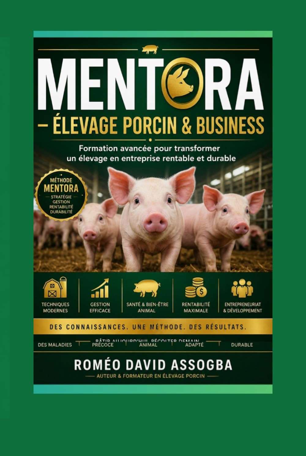 MENTORA _ÉLEVAGE PORCIN & BUSINESS: Formation avancée pour transformer un élevage en entreprise rentable et durable