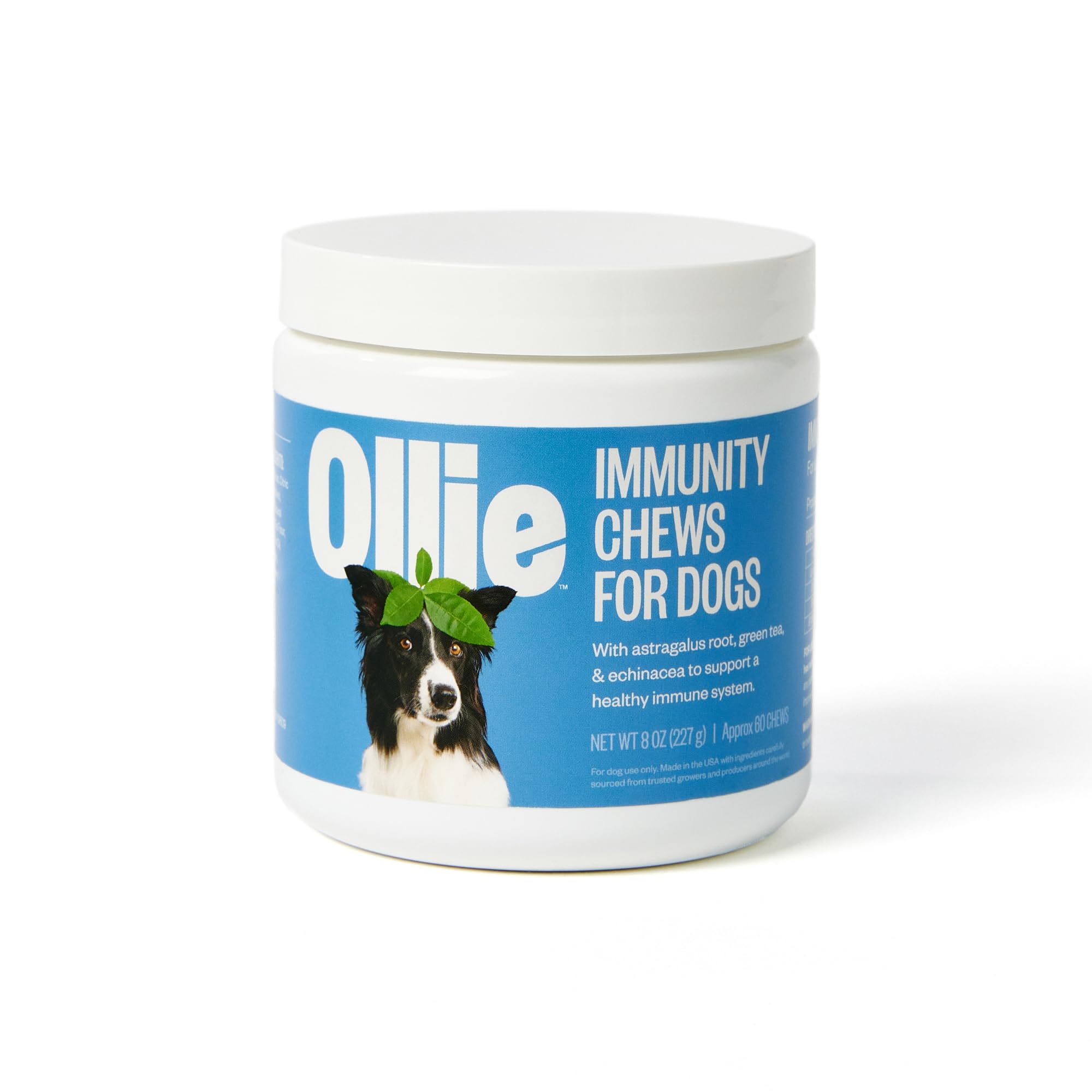 Ollie Pet Vitamins For Dogs Myollie Review Ollie Dog Food