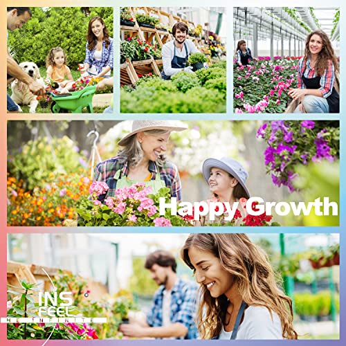 Soil Tester, Moisture Ph Light Meter Probe Test Kit For Outdoor Indoor Gardening, Plant Hydrometer For Garden, Lawn, Home, Farm - 3 In 1, No Battery Needed (2023 Newest) (2023 Newest) #TOP6