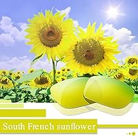 Vista 34 de Lentes de repuesto para gafas de sol Oakley Holbrook, múltiples opciones Provence Lavender