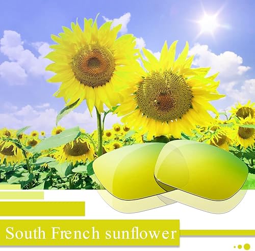 Miniatura 34 de Lentes de repuesto para gafas de sol Oakley Holbrook, múltiples opciones Provence Lavender