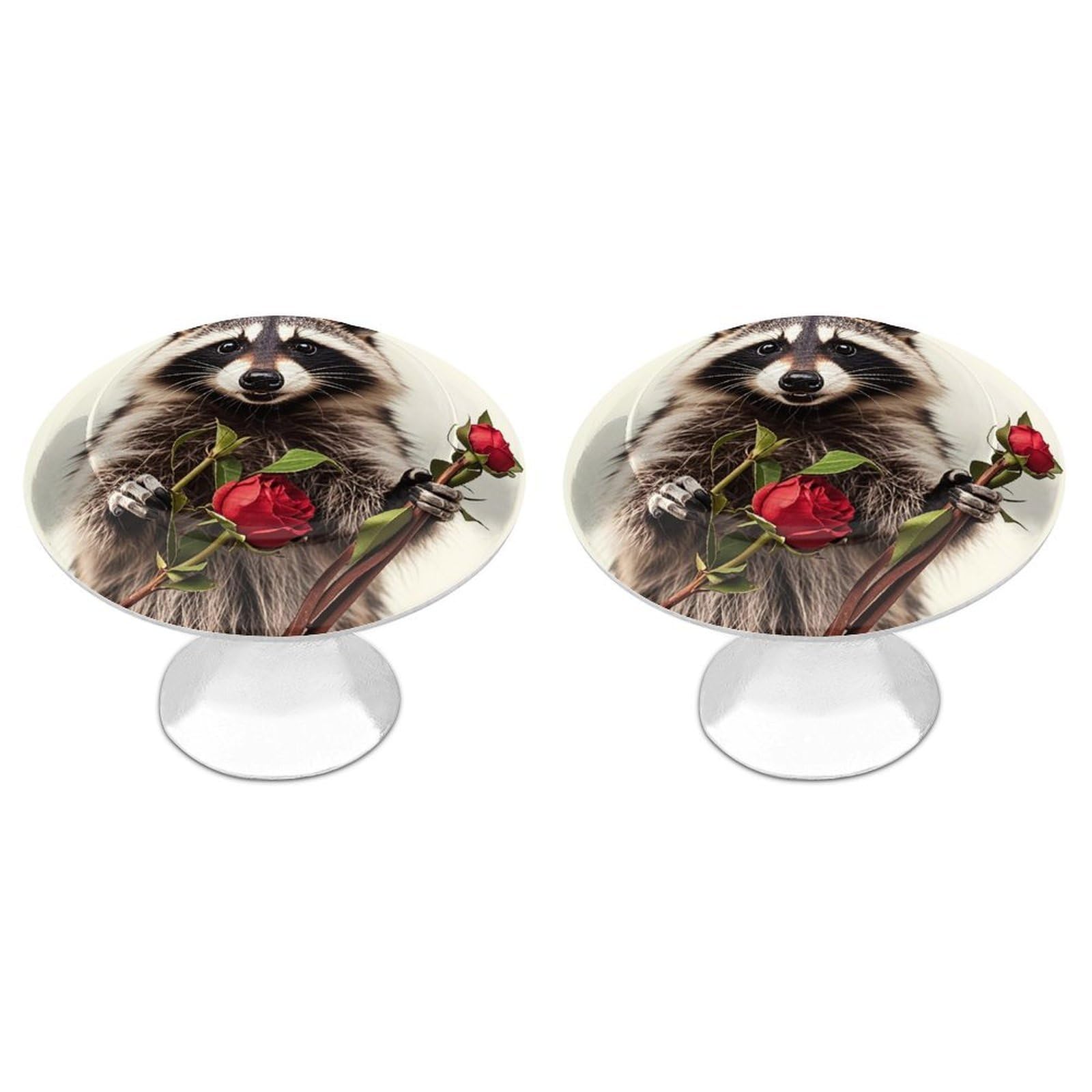 FekiLoot Funny Raccoon Cabinet Knob 2 Pack Mini Round Drawer Pulls Stainless Steel Dresser Drawer Knobs Kitchen Drawer Hardware for Bathroom Dresser Closet Door Knobs