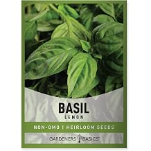 Gardeners Basics, Lemon Basil Seeds for Planting Herbs - Heirloom Non-GMO Herb Plant Seeds for Home Herb Garden Indoors, Outdoors, and Hydroponics