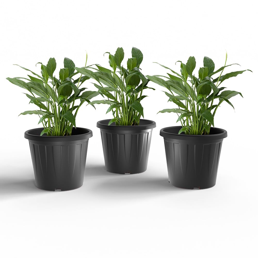 YUCCABE ITALIA 6 Pack White Nursery Planters -23
