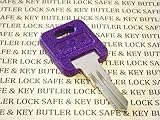 GLOBAL LINK LOCK GLOBAL LINK G361 RVs Motorhome Trailer Key Cut To Key/Lock Number G361 ONE PURPLE Replacement Key