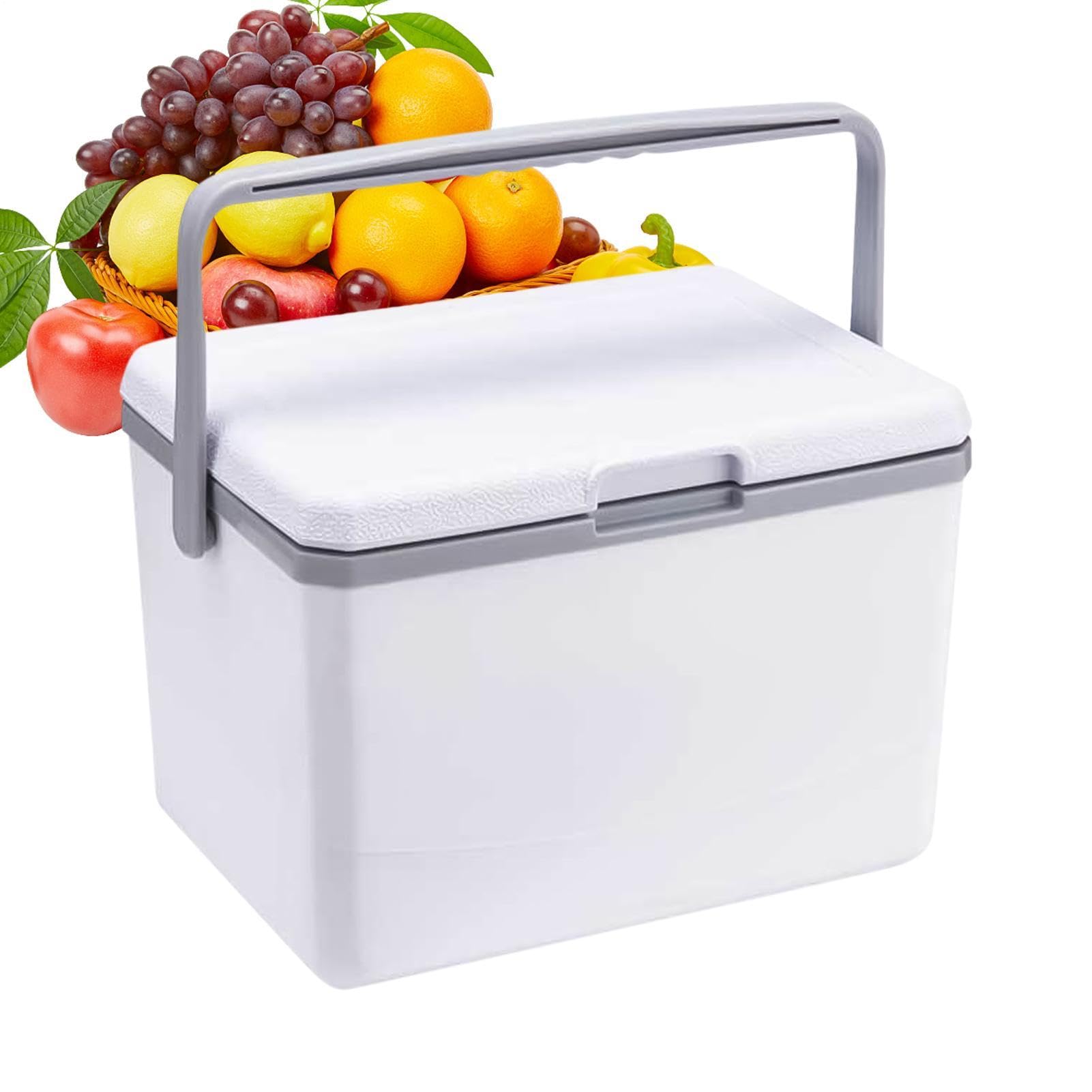 Cofre de Hielo para Acampar, refrigerador para Acampar,Enfriador de | Camping pequeño | Pequeño refrigerador portátil Aislado 5L, Duro portátil para la Playa, Comida campestre, Camping