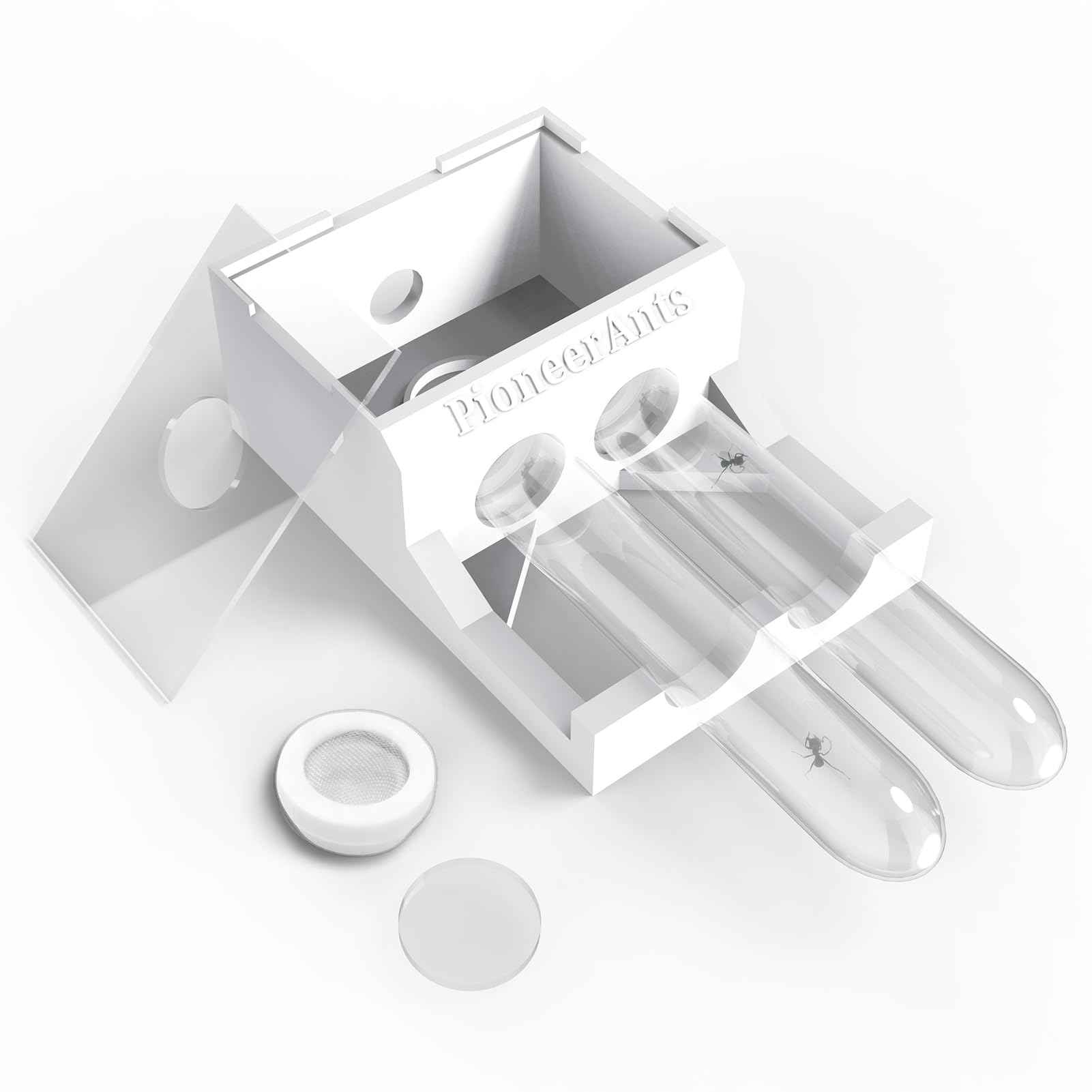 Amazon.com: Transparent Mini Ant Farm with Dual Test Tubes for