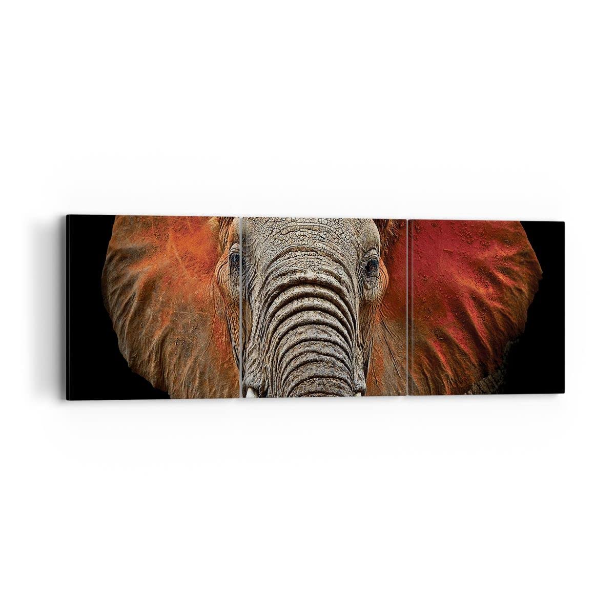 ARTTOR Cuadros Decoracion Salon Elefante Fauna Fantasía Lienzos Decorativos 50x50cm Cuadro Sobre Lienzo Moderno Dormitorio Cocina Cuadros Pared Imágenes Wall Art Prints Decor Canvas AC50x50-3079