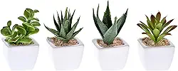 Kit 3 Suculentas Artificiais Decorativas Sortidas Decoração