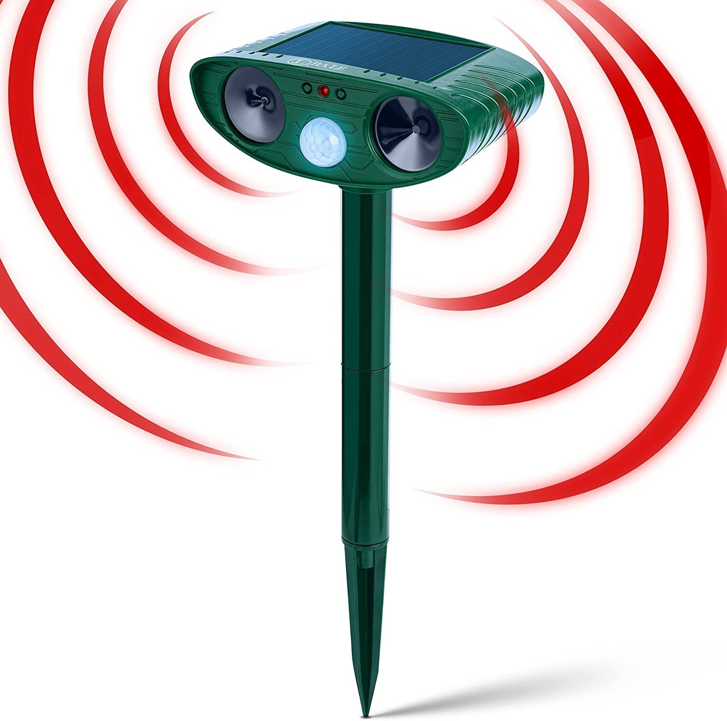 Sage White Smudge Kit with Abalone Shell