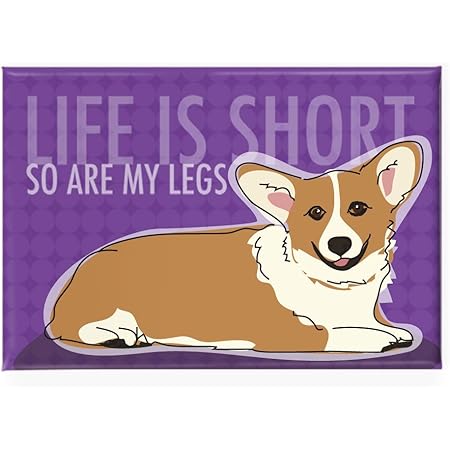 corgis in shorts