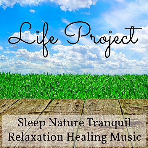 Spiele Life Project Sleep Nature Tranquil Relaxation Healing Music