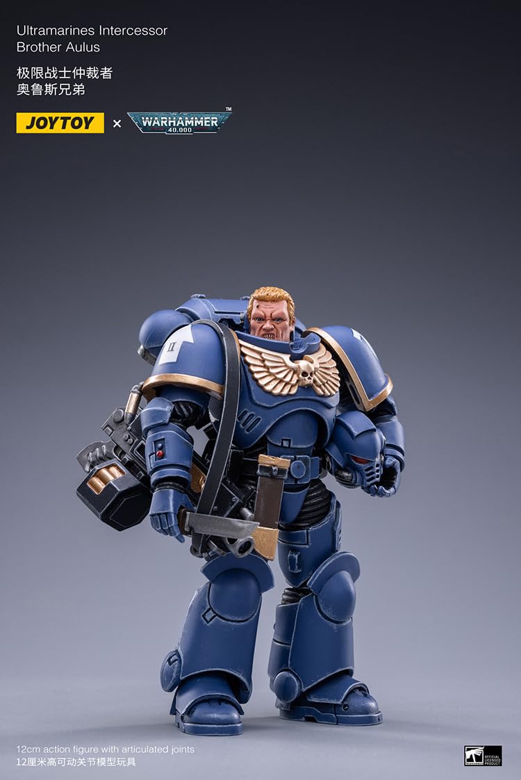 In Stock]JOYTOY Warhammer 40K Space Wolves Imperial Fists Ultramarines Blood Angels Intercessors 1/18 Action Figures Toys - 26