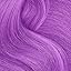 Panther Purple