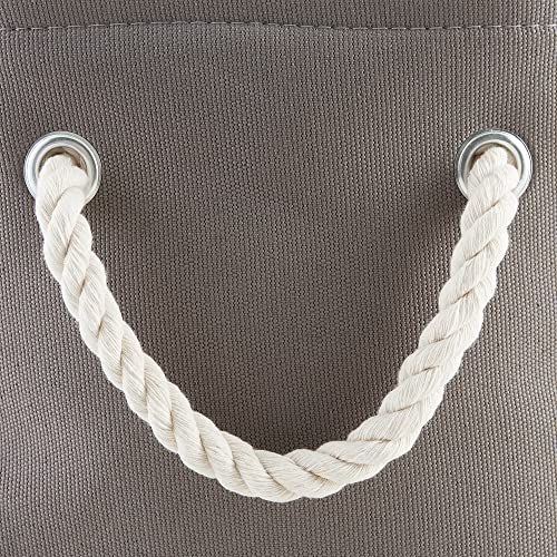 Bone Dry Pet Storage Collection Collapsible Bin, Medium Rectangle, Gray #TOP3