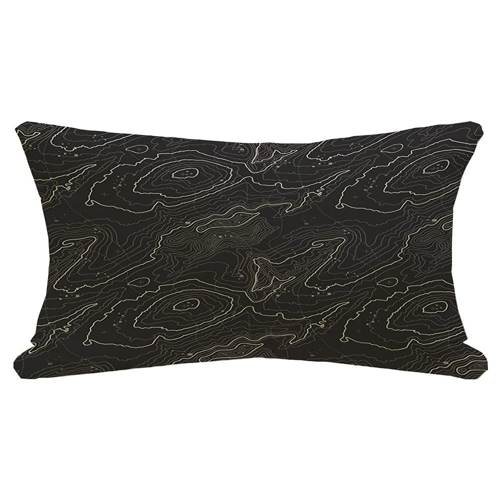 Decorative Lumbar Pillow Cover Curves Pattern Energy Topographic Contour Map Over Organic Graphic Backdrop Space Abstract Extreme Throw Rectangle Linen Cushion Case 12x20 Inch for Couch Bed Car