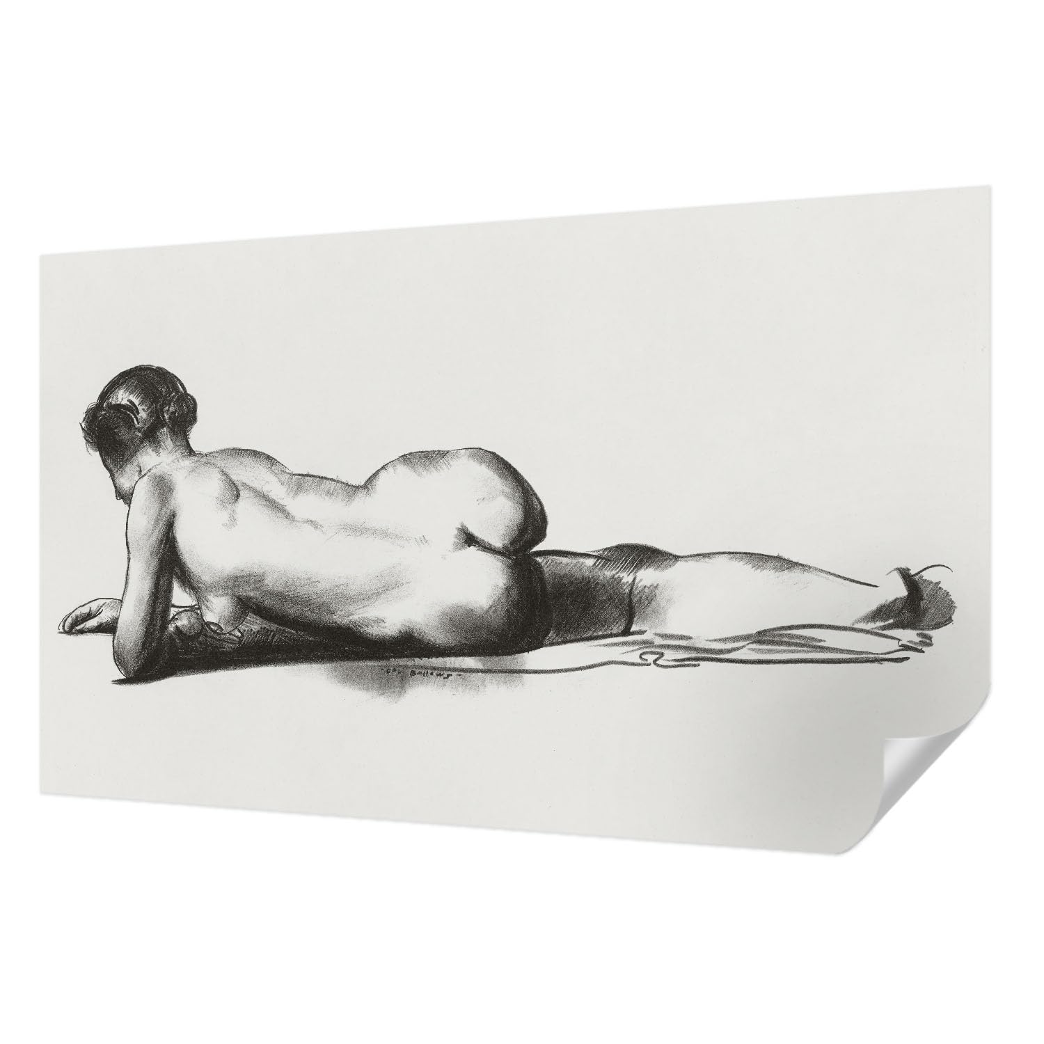 Papier peint adhésif anti-tache Tulup 416x254 cm rénovation murale rapide