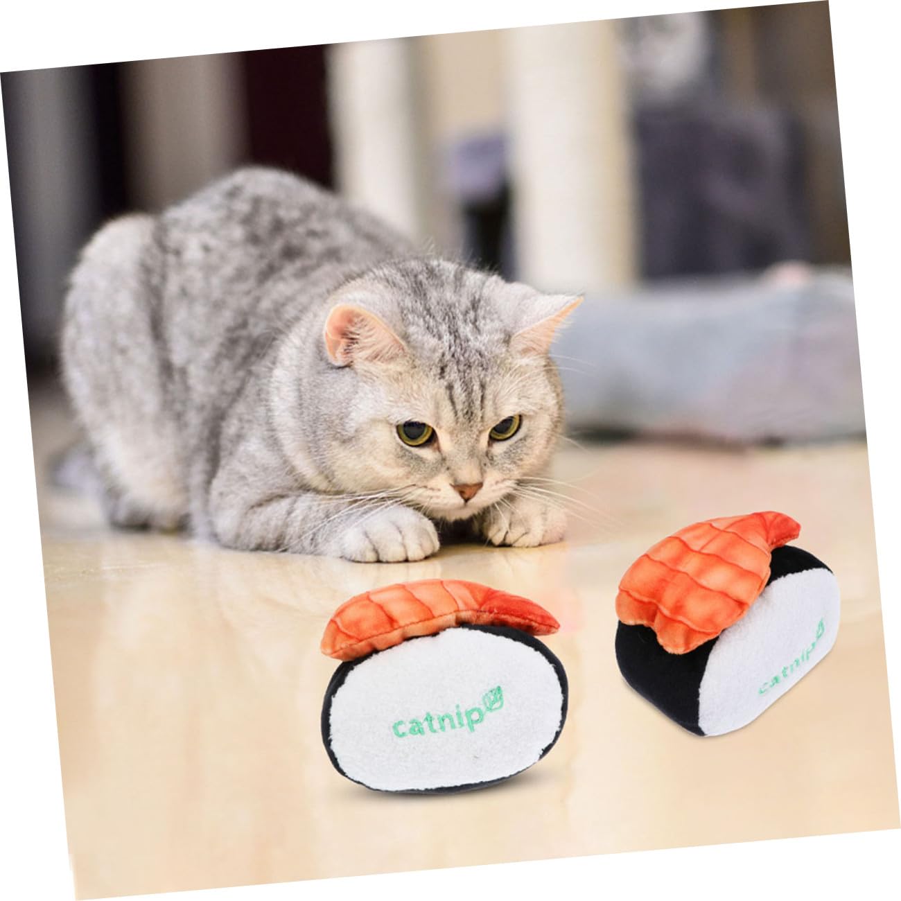 POPETPOP 6 STK Katzen-Sushi-Spielzeug Haustier Geburtstag Der Katze Beißspielzeug Für Katzen Interaktives Spielzeug Backenzahnspielzeug Für Hunde DIY Minze -Teaser Plüsch