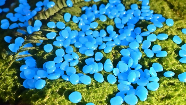 Galets Brillants Jardin 500 Pierres Lumineuses Multicolores - Galets Phosphorescents Pour Jardin, Aquarium Et Décoration Pierres Fluorescentes Aquarium