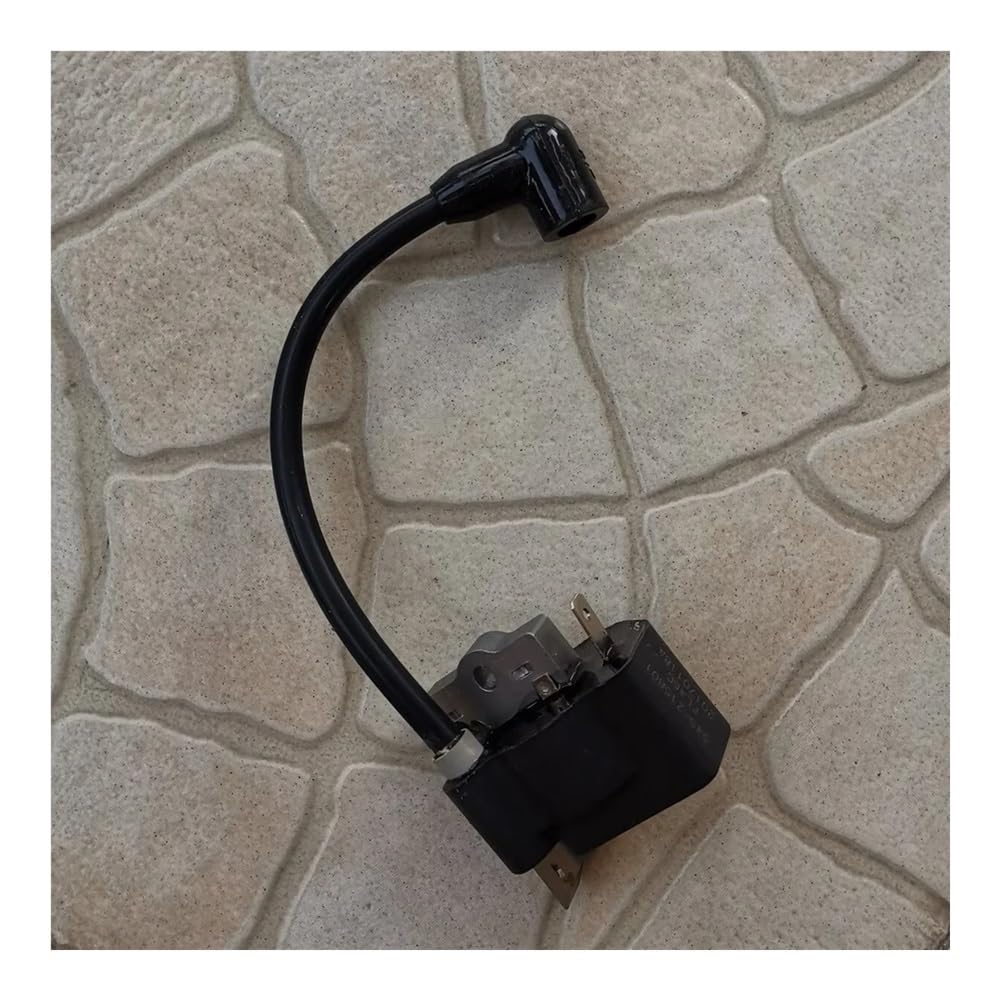 Bobine d'allumage 545081826 résout les problèmes de démarrage sur moteur 545158001