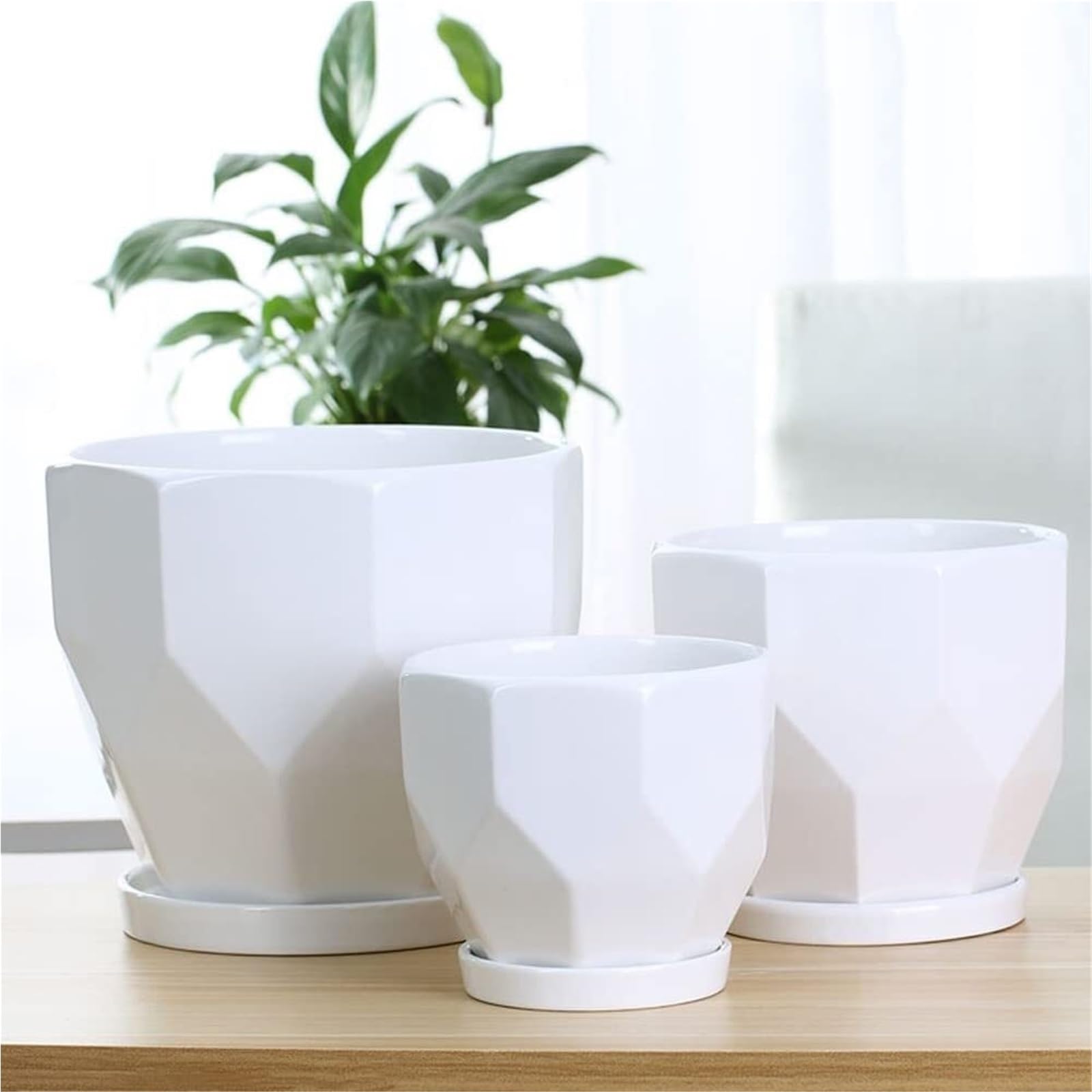 Vasi per piante da interno Vaso da fiori succulento in ceramica Forniture for la casa Decorazione del giardino fatato Vasi bonsai Decorazioni per veranda e spazi esterni(White,16cm*15cm)