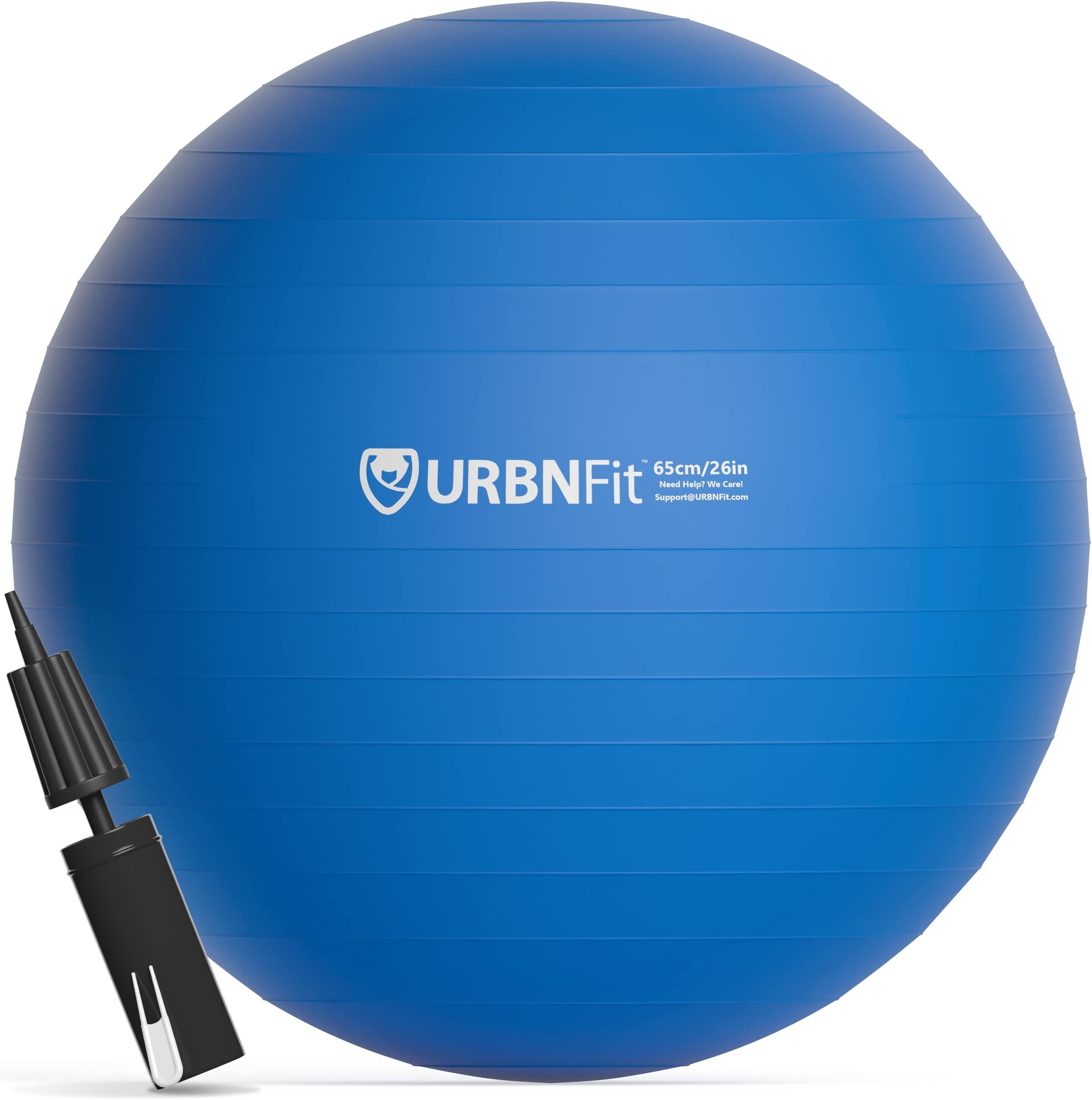 Herui Exercise Ball 55CM Extra Thick Yoga Ball with Barre Ball and Quick Pump AntiBurst and