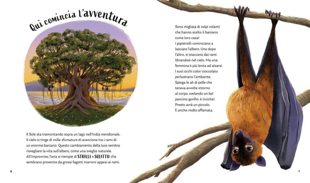I segreti della notte. Storie della buonanotte per scoprire la natura. Ediz. a colori