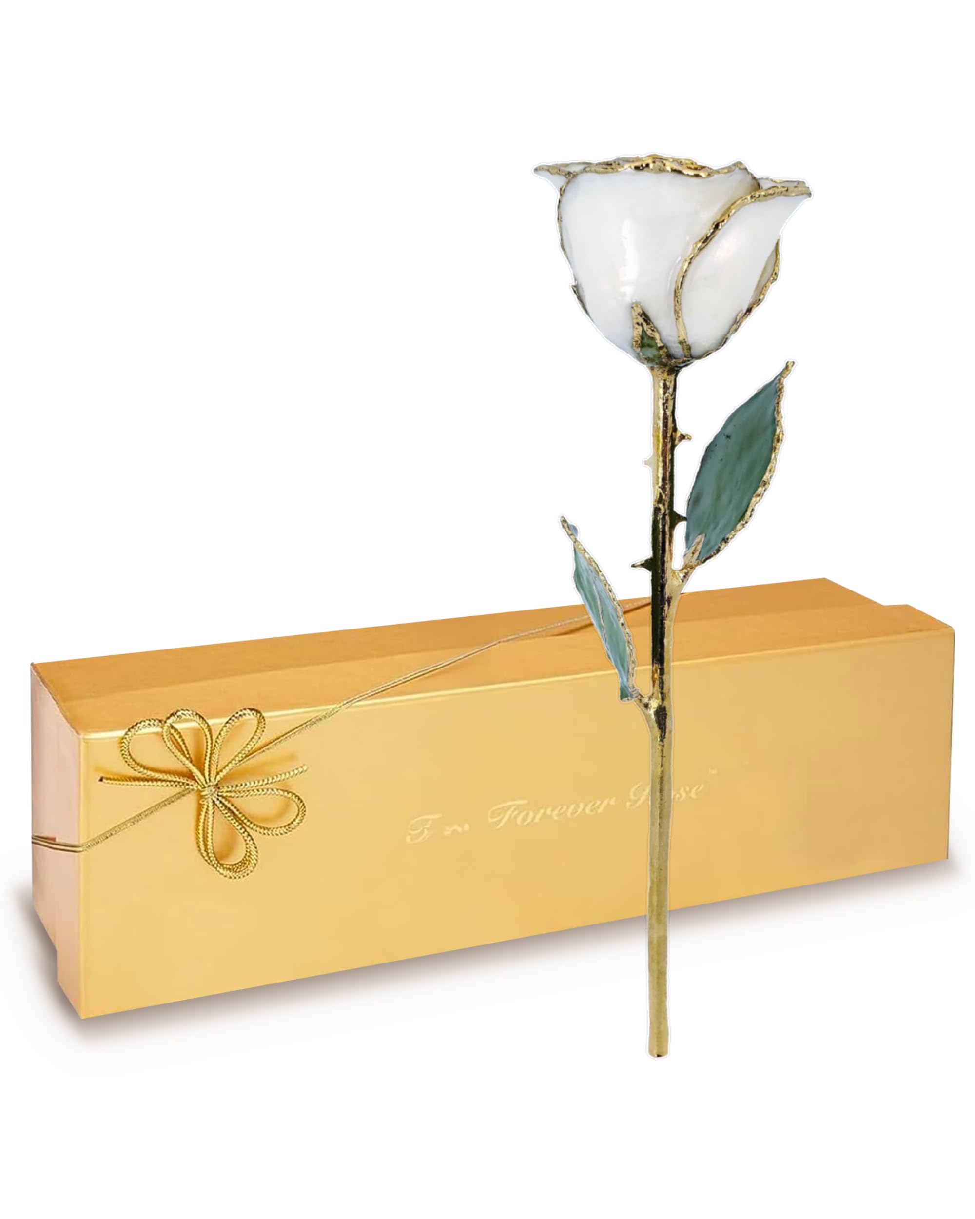 Forever Rose 24K Limited Edition Gold Dipped White Pearl Rose, The June Birthstone, A Unique & Everlasting Real Rose Hand Dipped in 24K Gold, 11” to 12”