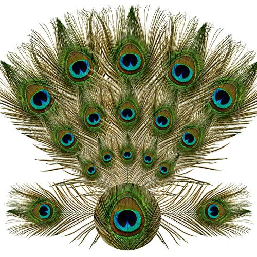 Ihufeather 10Pcs Real Natural Peacock Eye Feathers 10-12 Inch For Diy Craft Floral Arrangements,Wedding,Home And Party Decorations Feathers,Natural #TOP14
