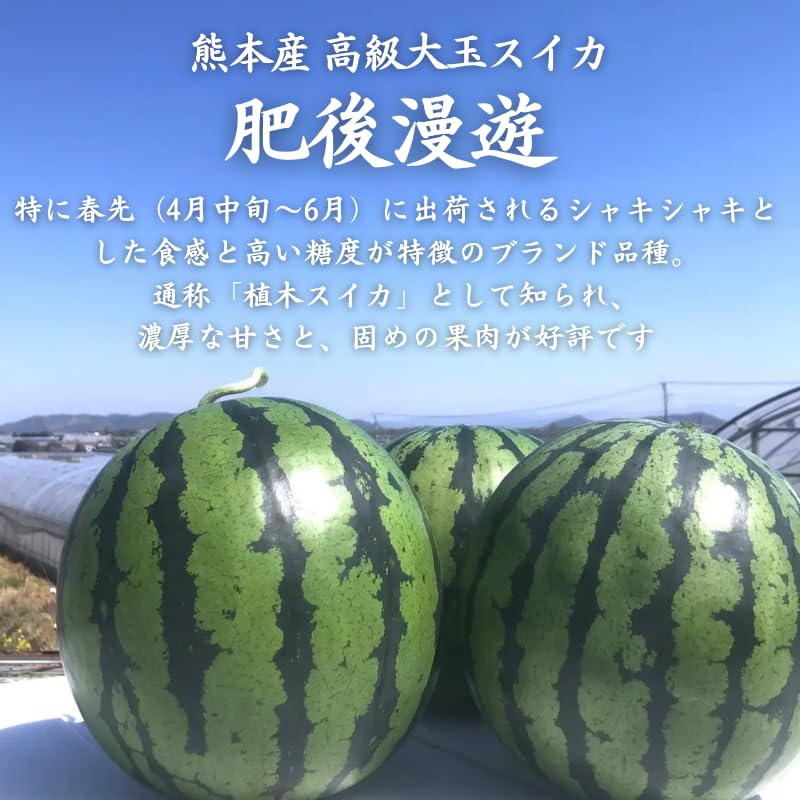 Amazon.co.jp: 熊本スイカ 肥後漫遊 超大玉 6～8キロ 1玉入り 秀品