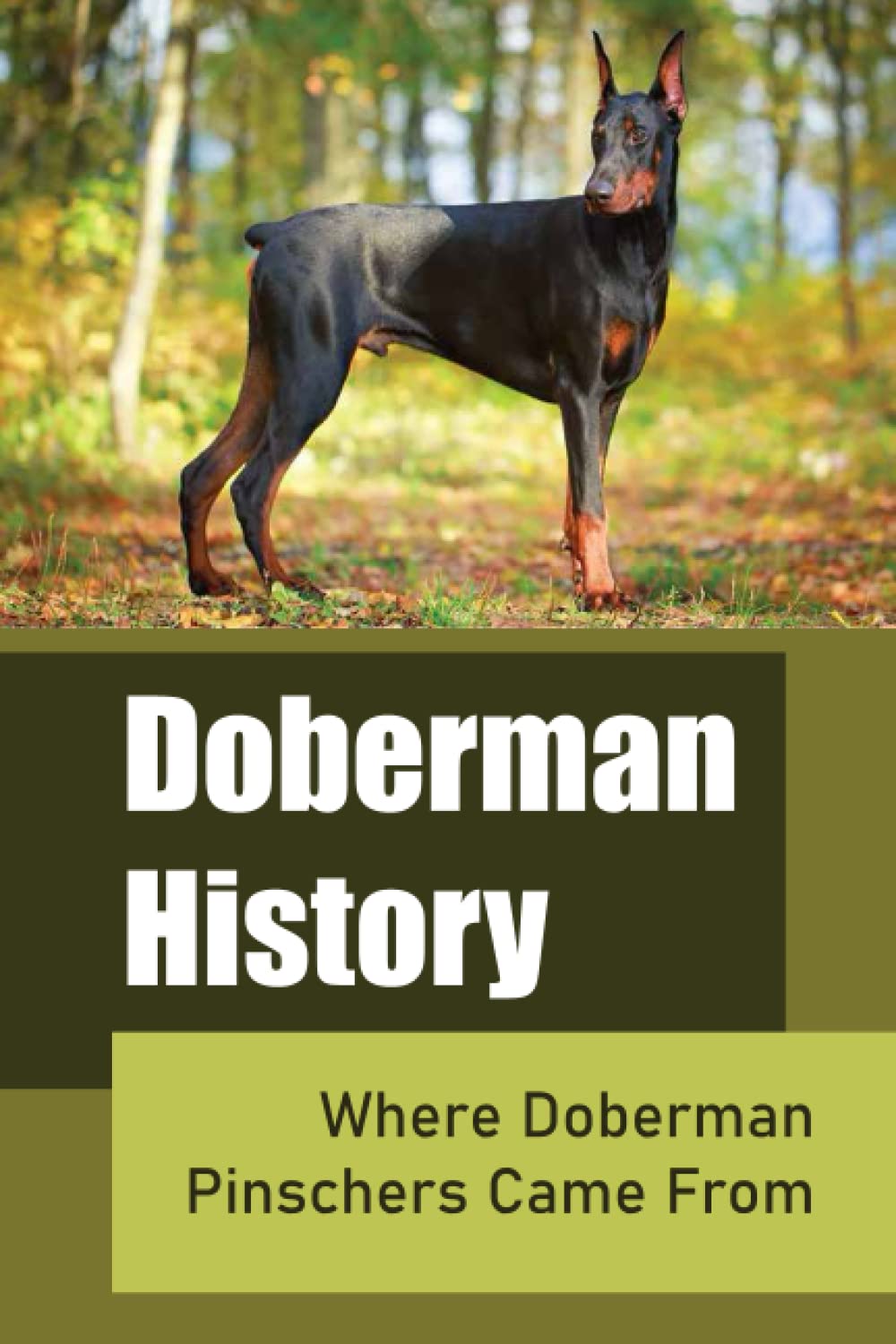 Doberman History: Where Doberman Pinschers Came From