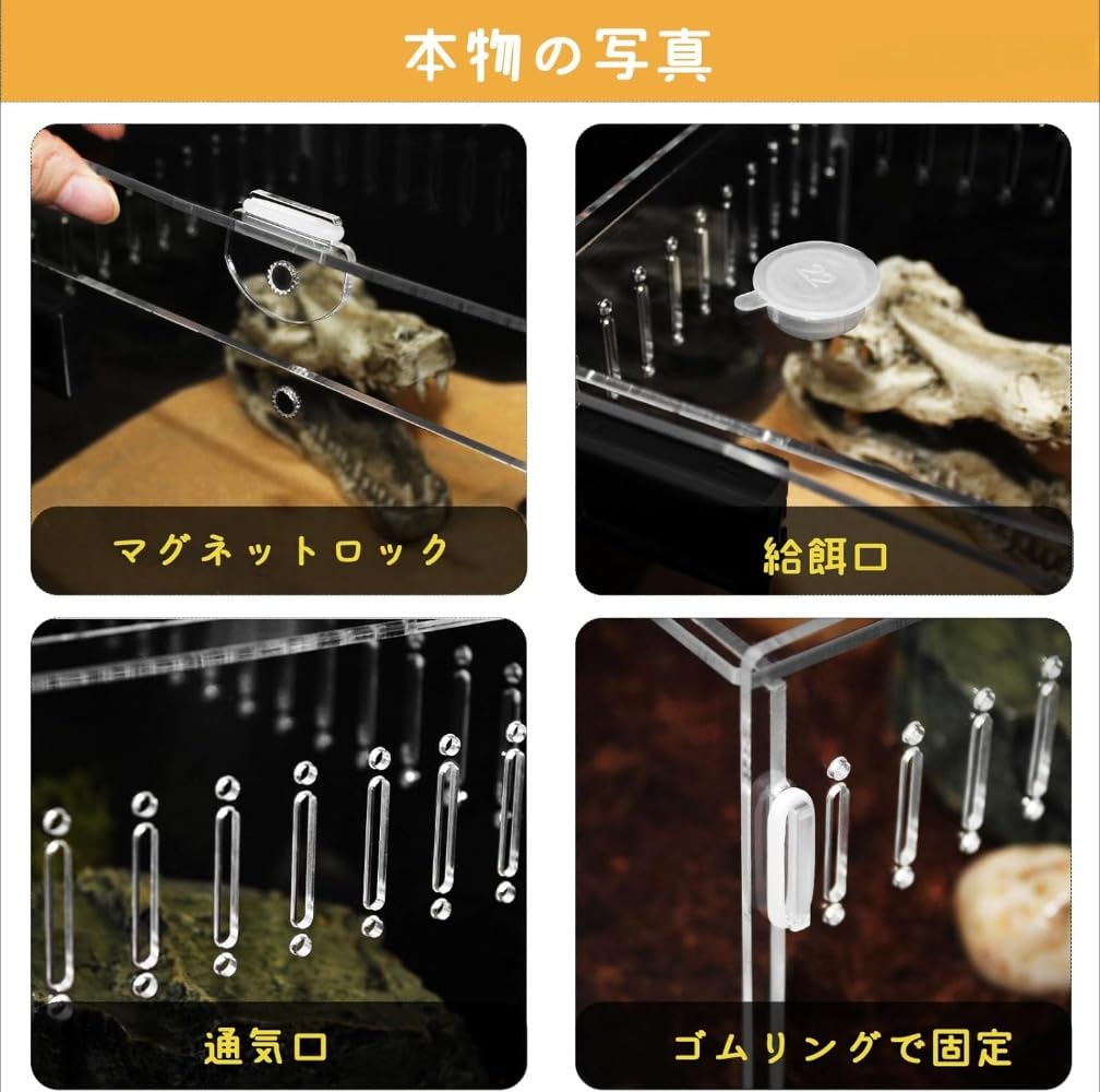 Amazon | Apaeofl爬虫類 ケージ トカゲ ケージ カナヘビ飼育ケース