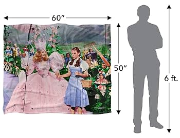 Amazon｜オズの魔法使い スタンレー・デサンティス ヴィンテージ