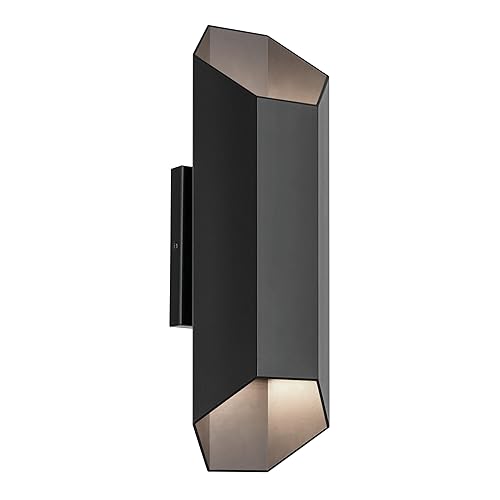 Estella 16.5" LED 2-Light Outdoor Wall Light in Black, Dark