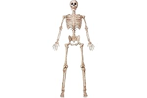 JOYIN 70-Inch Plastic Posable Skeleton for Halloween Decoration