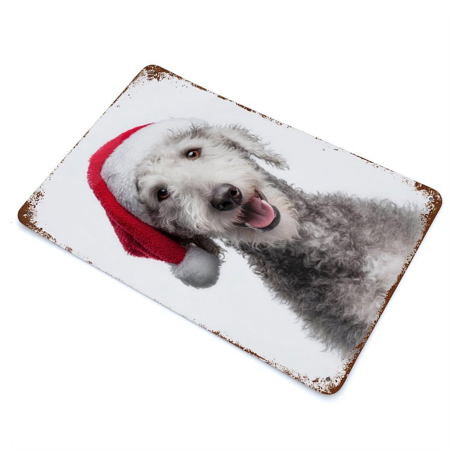 Bedlington Terrier Dog with Santa Hat Rusty Metal Tin Sign 11.8"x7.9", Ideal for Farmhouse, Kitchen And Entryway Decor