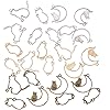 Product Photo 2