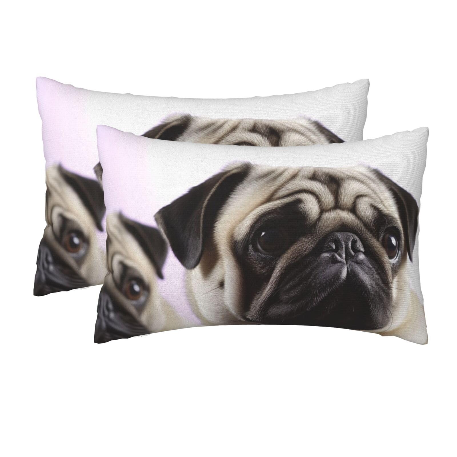 2 Pack Queen Pillow Cases with Hidden Zipper, Soft Breathable Pillow Covers for Hair and Skin, Pug Dog Pillowcases 20"x30" Bed Pillow Protectors Cover for Sleeping Gifts