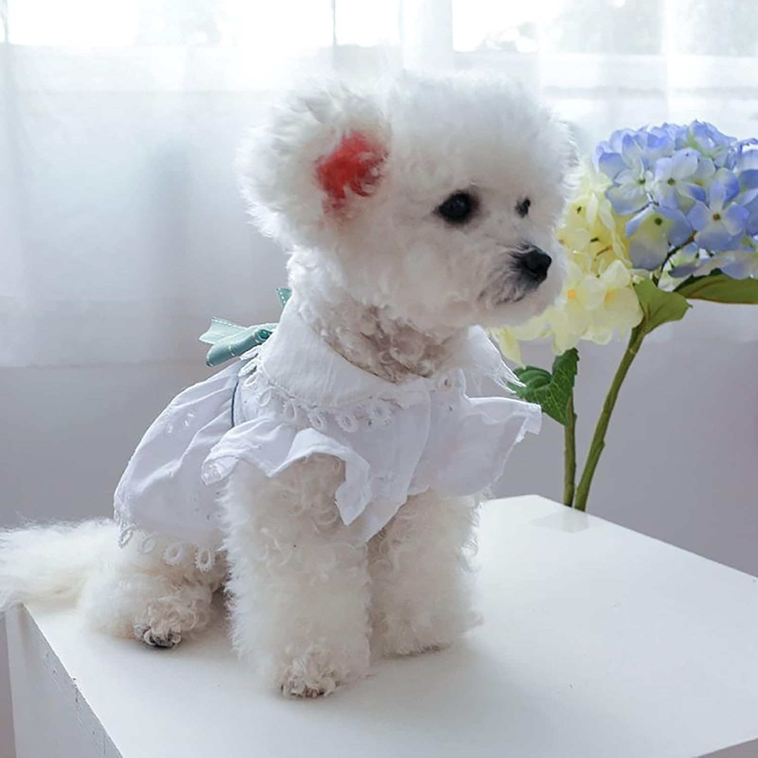 Lindo vestido de princesa para perro, ropa de verano para mascotas